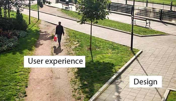 user experience vs design